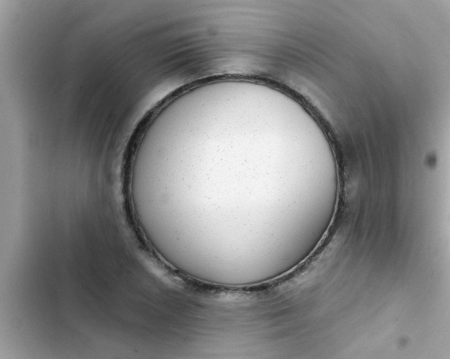 X0000102411026200808152001