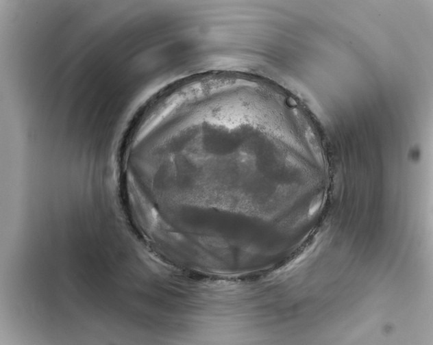 X0000102411027200808152001