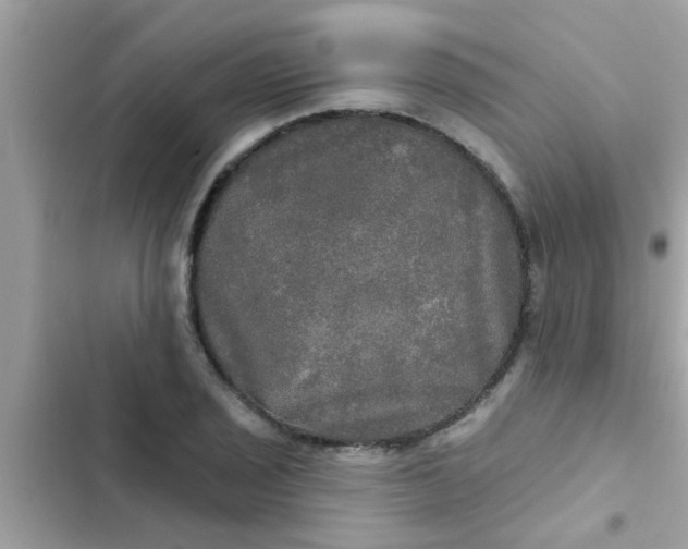 X0000102411029200808152001