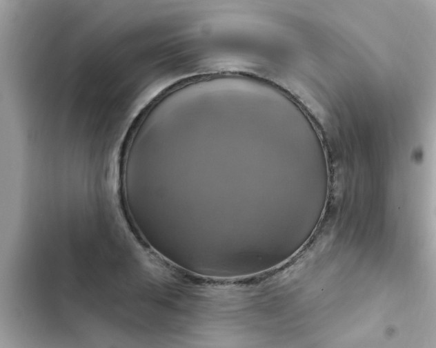 X0000102411031200808152001