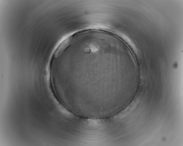 X0000102411032200808152001