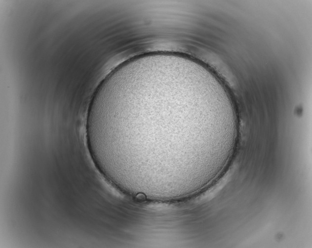 X0000102411033200808152001