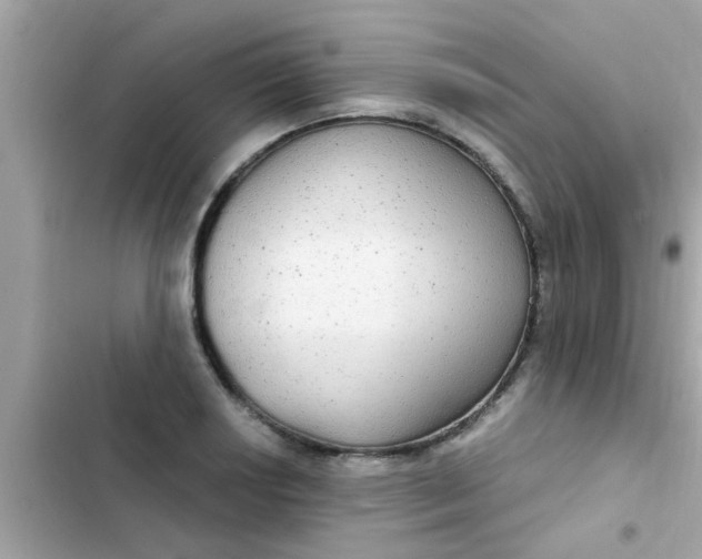 X0000102411034200808152001