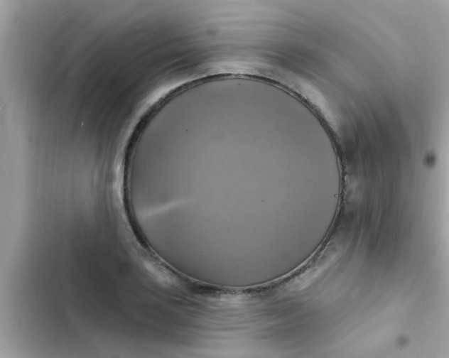 X0000102411035200808152001