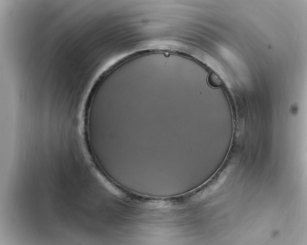 X0000102411037200808152001