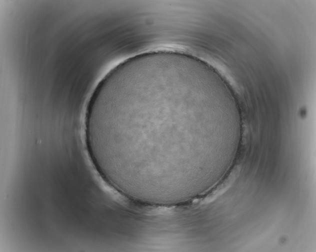 X0000102411038200808152001