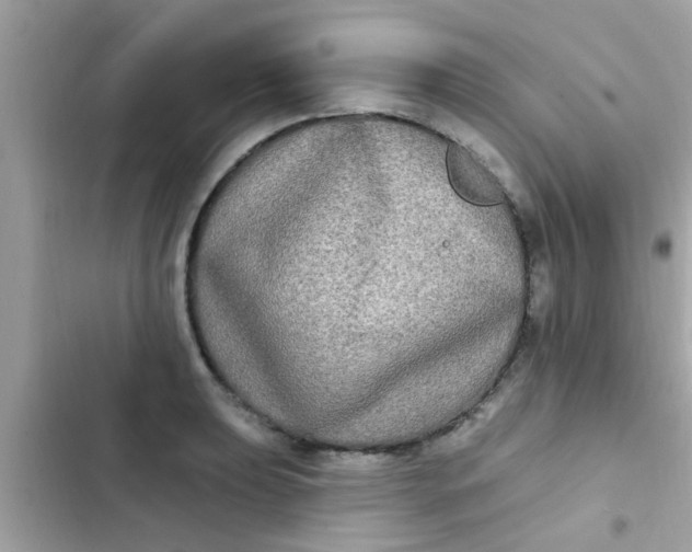 X0000102411039200808152001