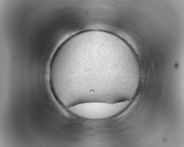 X0000102411040200808152001