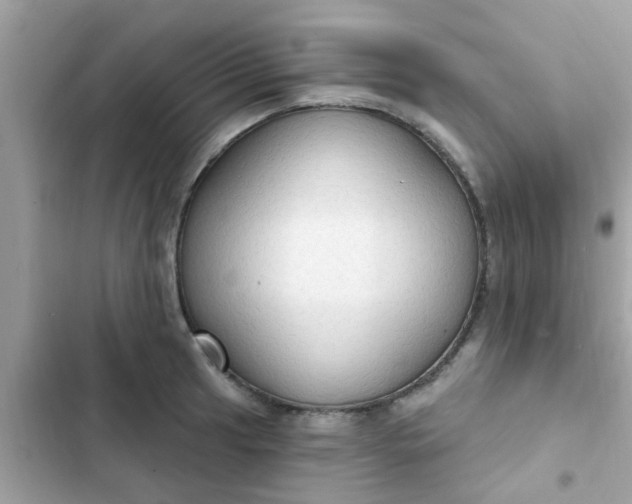 X0000102411041200808152001