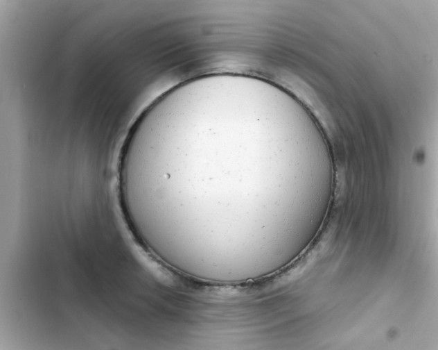 X0000102411042200808152001