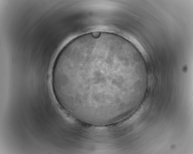 X0000102411043200808152001