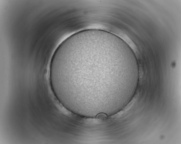 X0000102411044200808152001