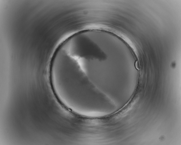 X0000102411045200808152001