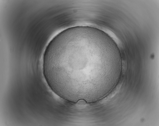 X0000102411046200808152001