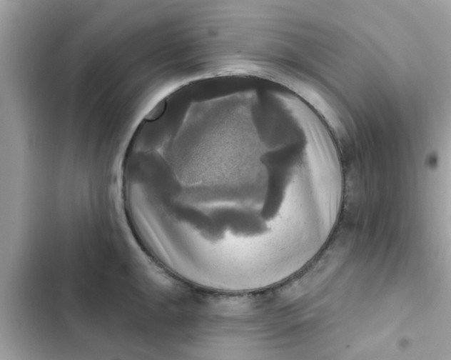 X0000102411047200808152001