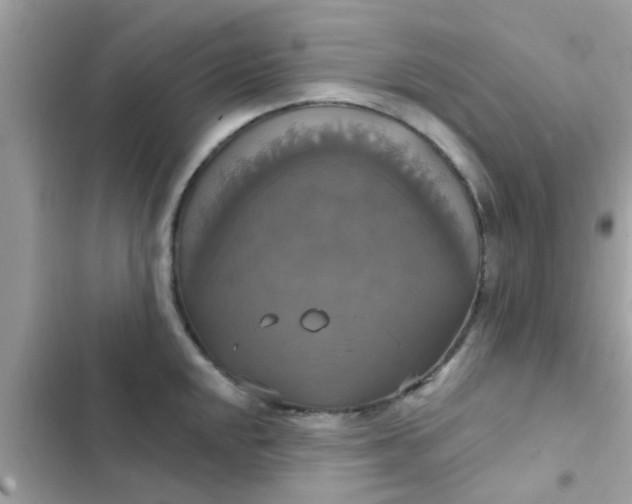 X0000102411048200808152001