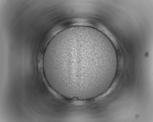 X0000102411049200808152001