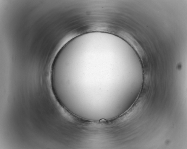 X0000102411050200808152001