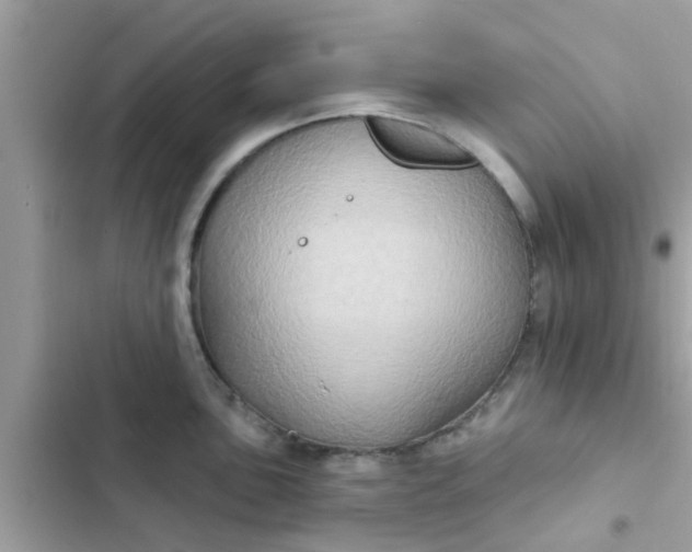 X0000102411051200808152001