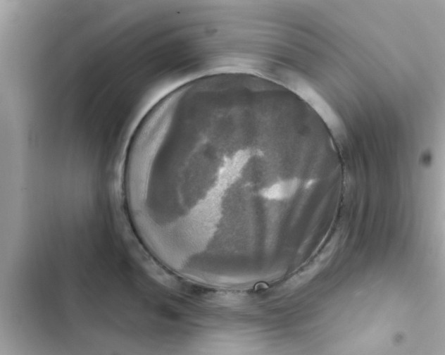 X0000102411052200808152001