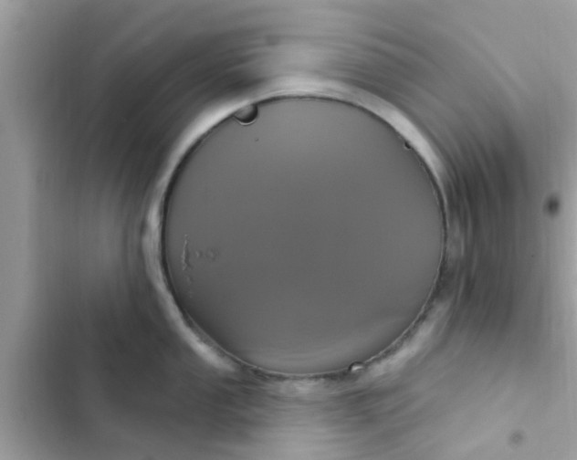 X0000102411053200808152001