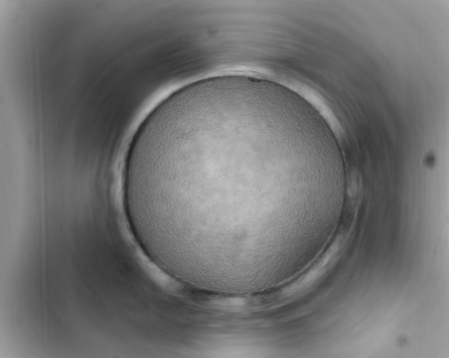 X0000102411054200808152001