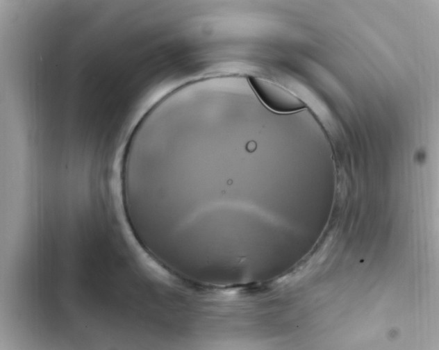 X0000102411055200808152001