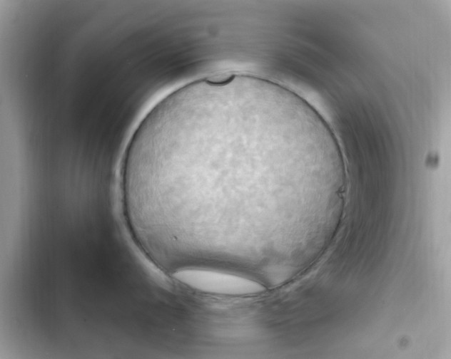 X0000102411056200808152001