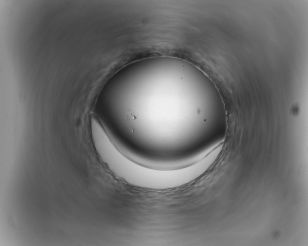 X0000102411057200808152000