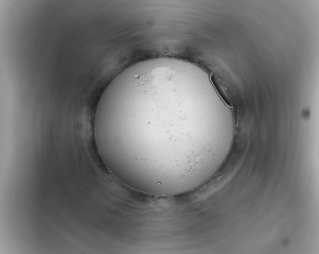 X0000102411058200808152000