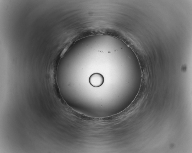 X0000102411060200808152000