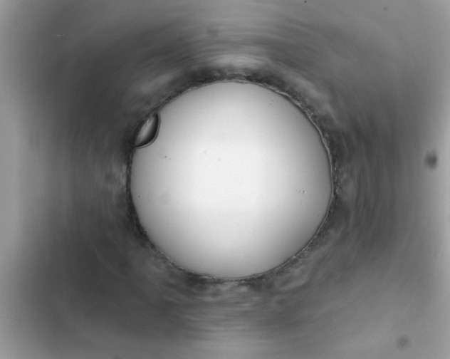 X0000102411061200808152000