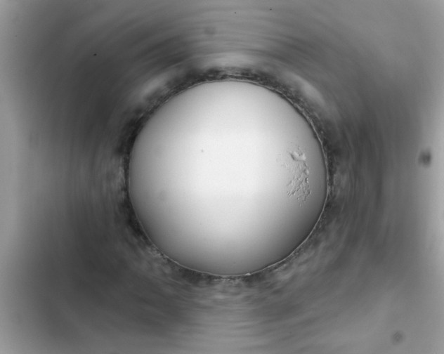 X0000102411062200808152000