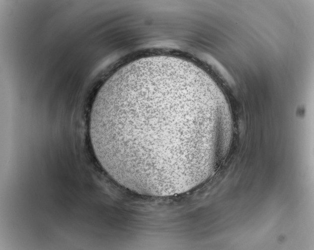 X0000102411064200808152000