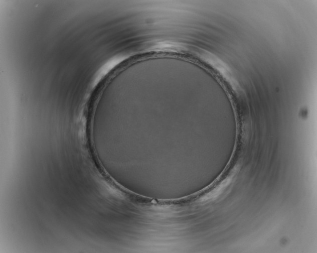 X0000102411066200808152000