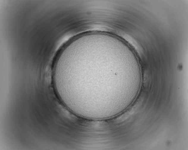 X0000102411067200808152000