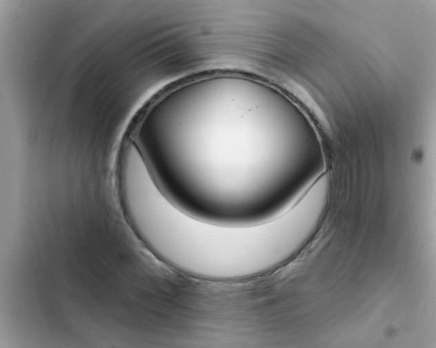 X0000102411068200808152000