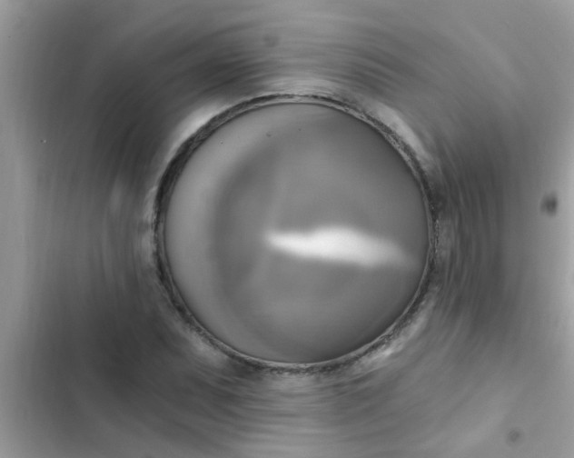 X0000102411071200808152000