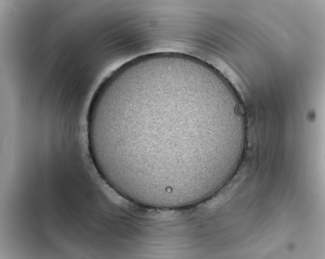 X0000102411072200808152000