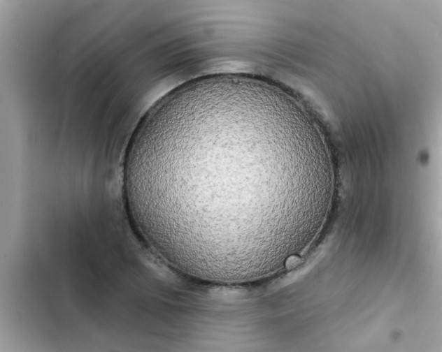 X0000102411073200808152000