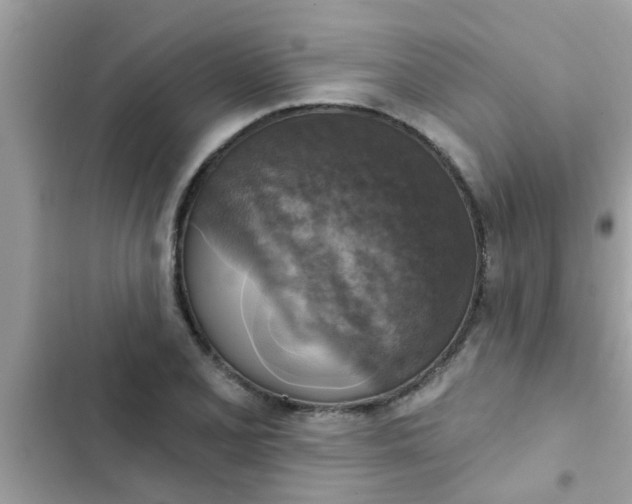 X0000102411077200808152000