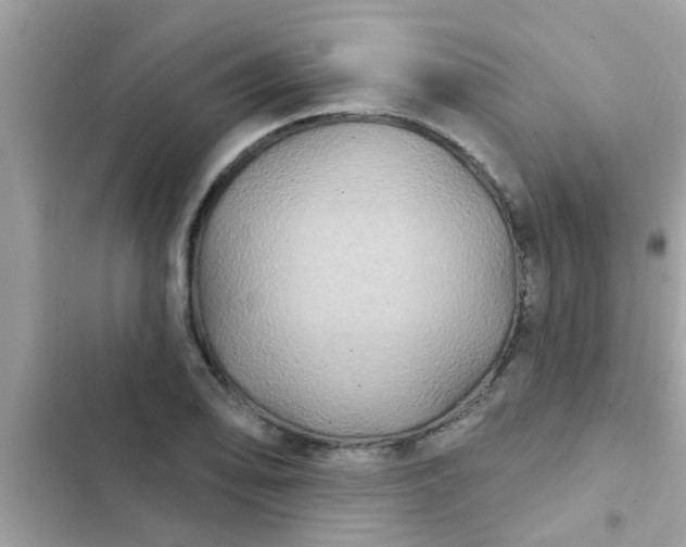 X0000102411078200808152000