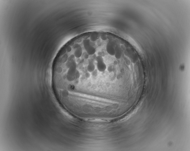 X0000102411079200808152000