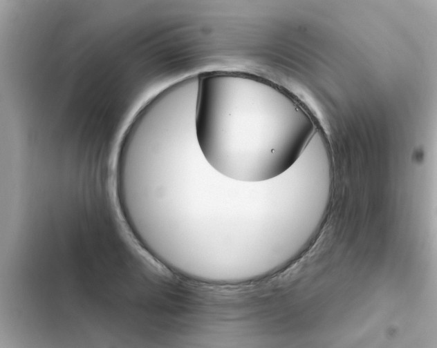 X0000102411080200808152000