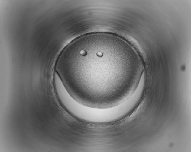 X0000102411081200808152000