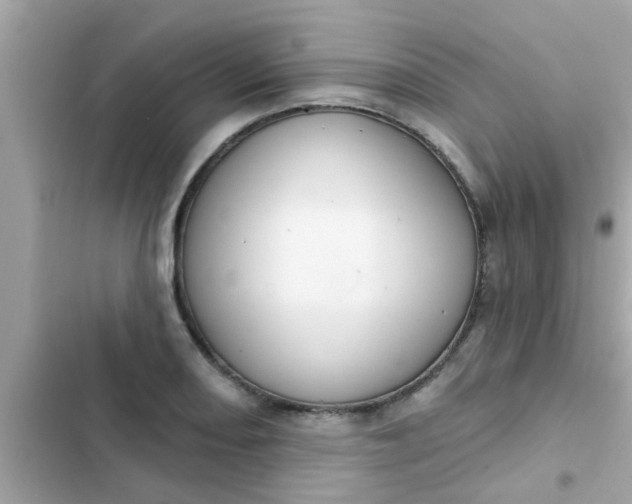 X0000102411082200808152000