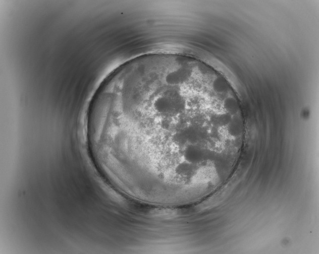 X0000102411083200808152000