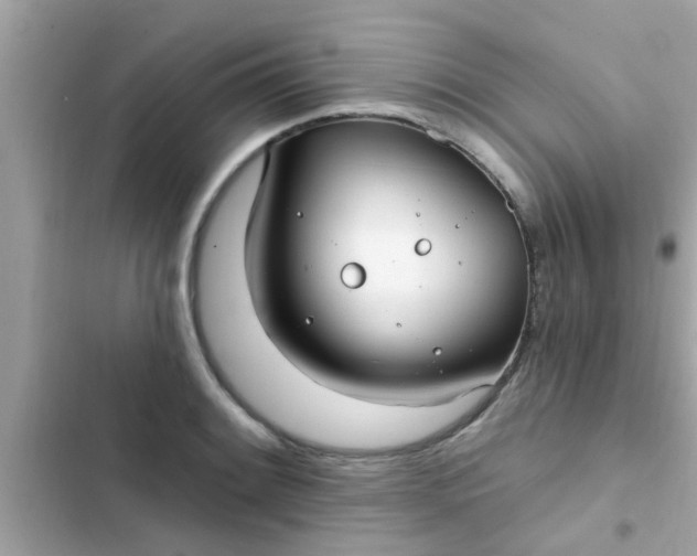 X0000102411084200808152000