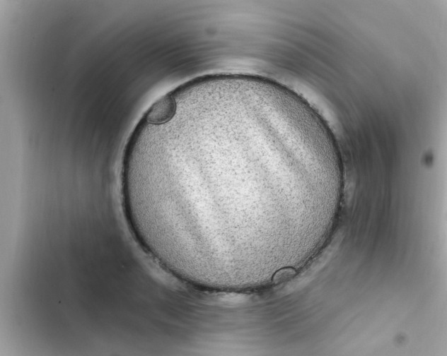 X0000102411085200808152000