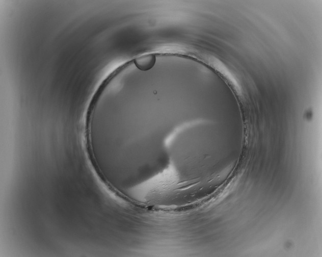 X0000102411087200808152000